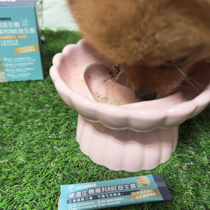 女人知己試用大隊,口碑行銷,部落客行銷,Moegis萌吉 腸道生機專利RBE益生菌,寵物益生菌,專利RBE益生元,專利蔬果酵素,小分子胜肽,藍藻粉,維持免疫力,幫助維持消化道機能,維持正常食慾,改變細菌叢生態,腸胃保健,犬貓適用